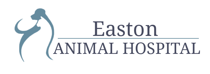 Easton Animal Hospital Facebook