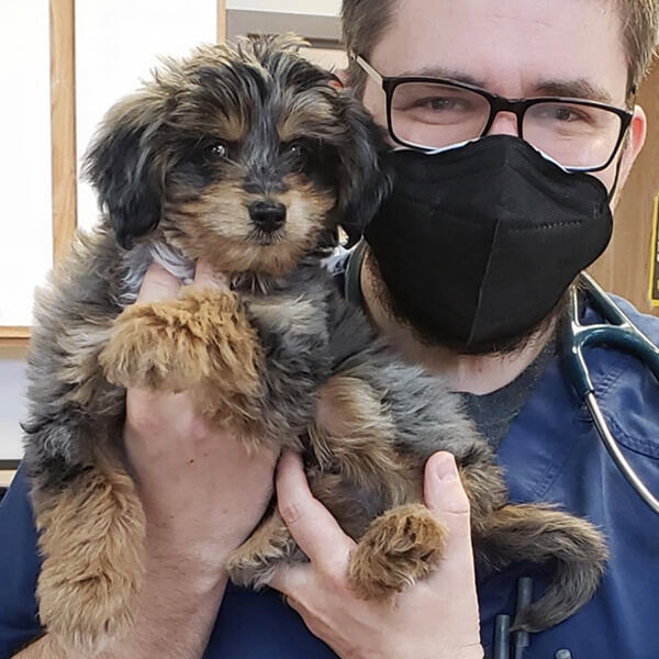 vet holding small brown dog at our columbus, oh animal hospital