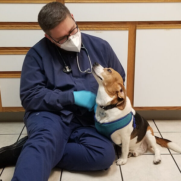 dog with emergency vet